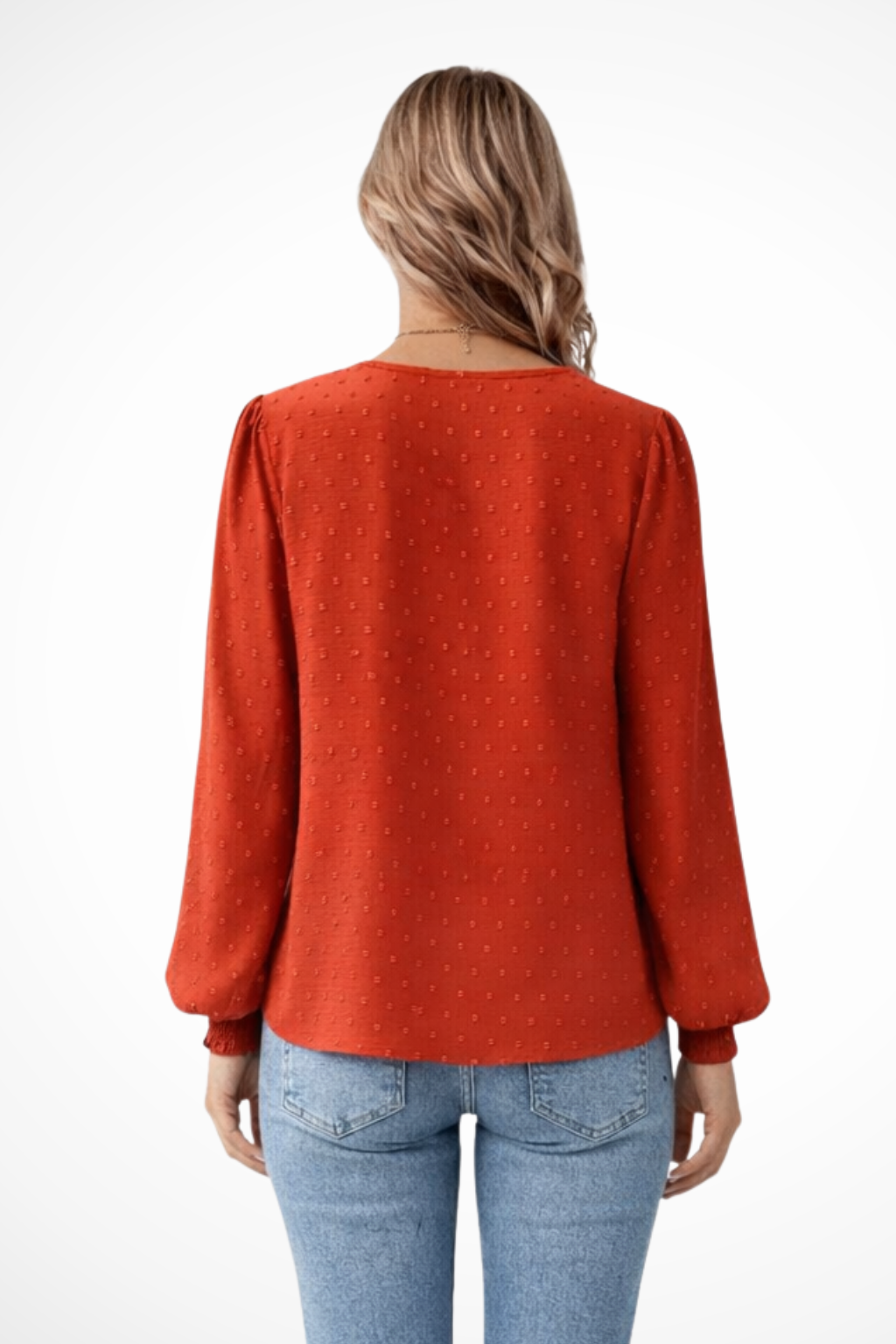 Women's Lace Applique V Neck Blouse with Balloon Sleeves – Dobby Chiffon Occasion Top