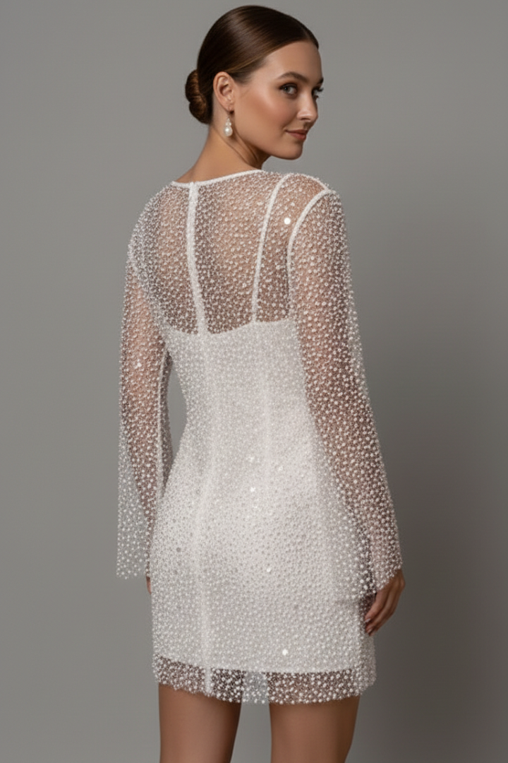 Women's Embellished Mesh Overlay Mini Dress – Long Sleeve Party & Evening Dress