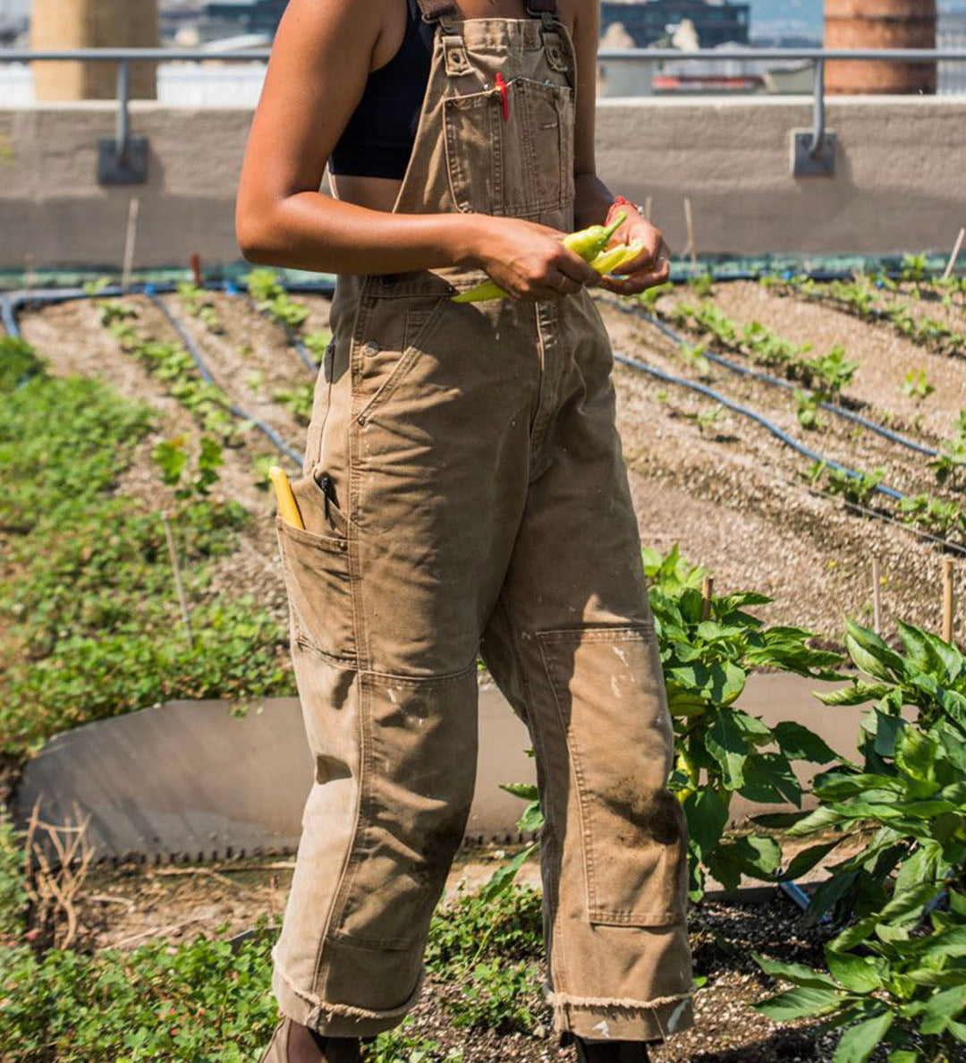 Women's Utility Dungaree Jumpsuit with Pockets – Workwear-Style Casual Overalls